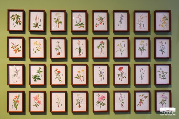 融创配资 传承千年智慧：中医药非遗主题展在京展现中华养生之道