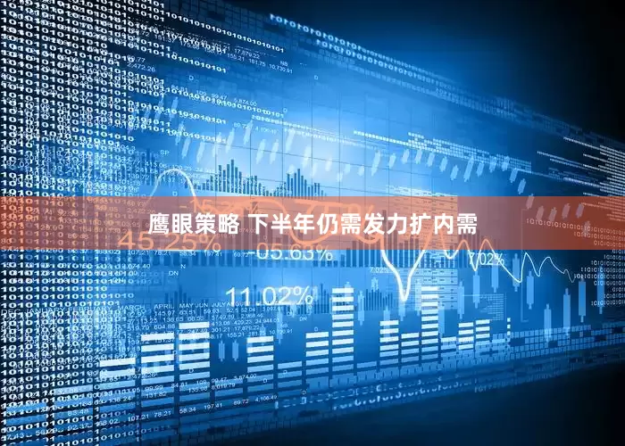 鹰眼策略 下半年仍需发力扩内需